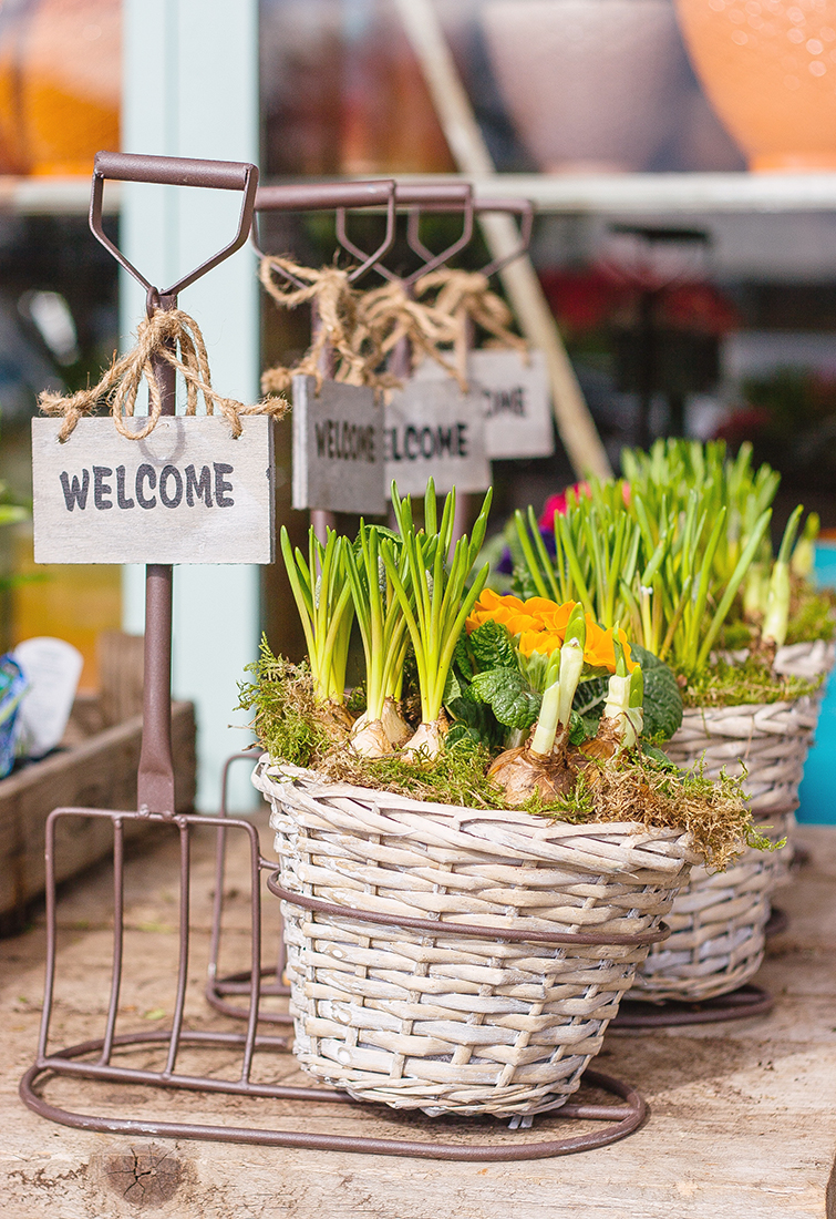 If you're visiting Old Town Bluffton SC on a Thursday afternoon, then you're in luck! That's when they host the local farmers market and where you'll find fresh local nuts, produce, and enough BBQ to satisfy even the heartiest appetites!