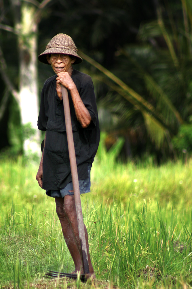 Weathered-looking man in a straw hat taking a break from tending the field in the rice paddies Ubud Bali