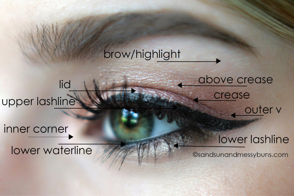 makeup 101 eyeshadow diagram for makeup newbies sand sun messy buns