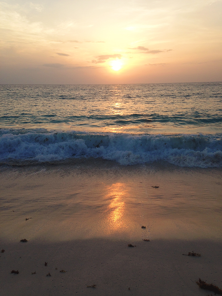 It's so fun releasing baby turtles in Cancun and watching them waddle out to sea as the sun sets!