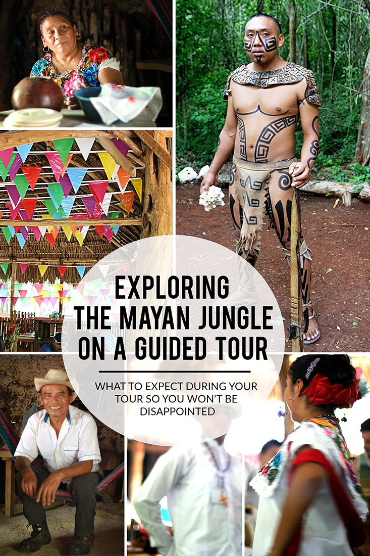 Learn what to expect on a guided tour through the Mayan Jungle