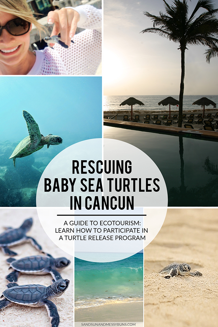 Interested in ecotourism? Learn all about my experiences releasing baby turtles in Cancun and how you can do the same!