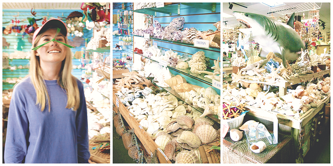 A shop on River Street in Savannah filled with touristy trinkets, lots of seashells, and a large mounted great white shark. 