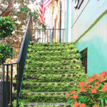 Moss-covered brick staircase leading to the door of a colorful Savannah row home with a warm sunset peeking through the oak trees and flag near the front door.