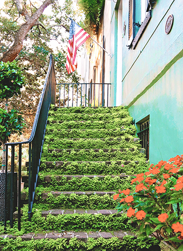 Moss-covered brick staircase leading to the door of a colorful Savannah row home with a warm sunset peeking through the oak trees and flag near the front door.