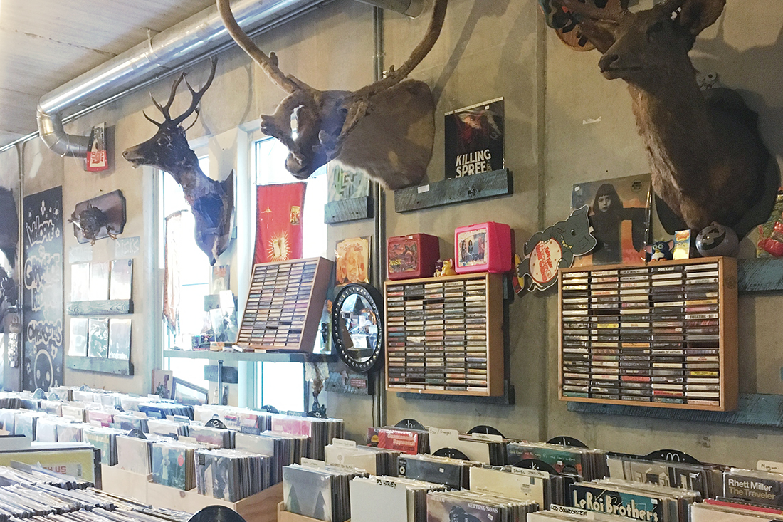 Graveface Records & Curiosities in the Starland Arts District in Savannah with a wall full of taxidermy, records, and cassette tapes.