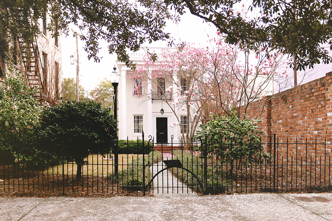 Image of a white 2 story colonial style house with 2 large pink tulip trees blooming in the front yard.