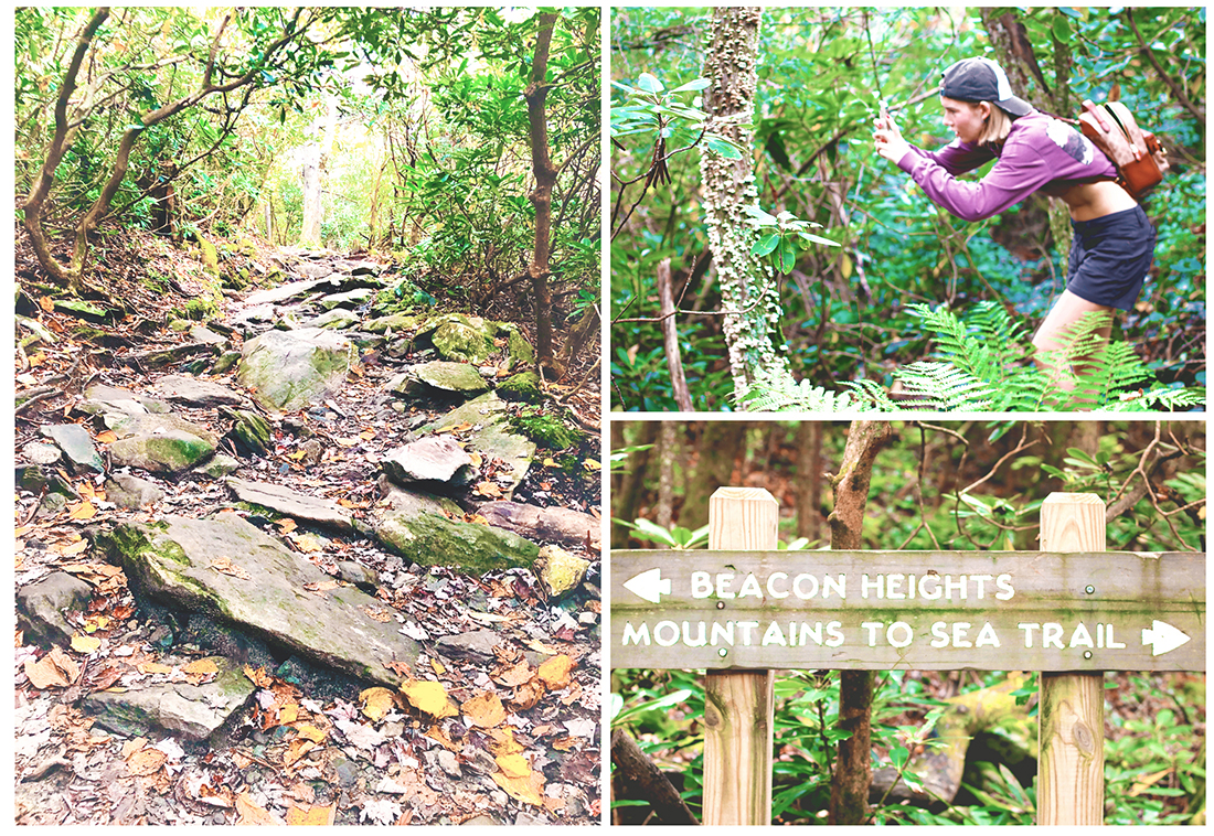 Collage image of the Beacon Heights walking path, trail signs, and a girl taking photos of lichen in Blowing Rock NC