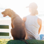 A dog and its owner look sit and relax on the grass overlooking a beach scene.