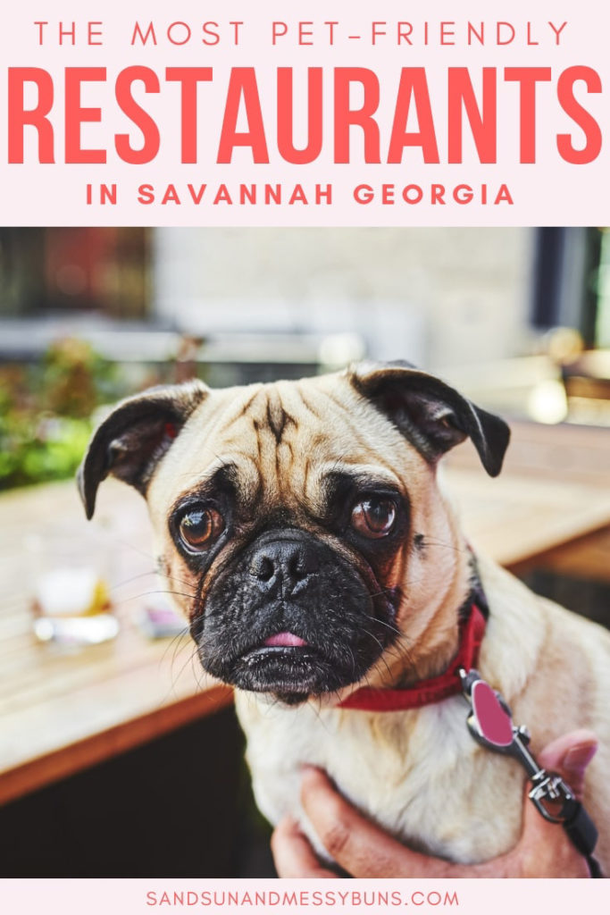 A pug puppy looking concerned and sitting at a table with text overlay that reads The Most Pet-Friendly Restaurants in Savannah GA.